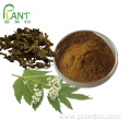 Natural health supplement valerian root extract powder